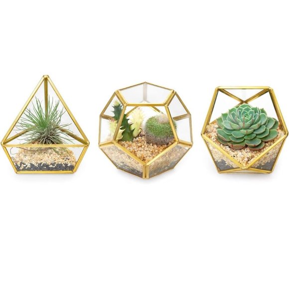 4 Inches Mini Glass Geometric Terrarium Container Set of 3